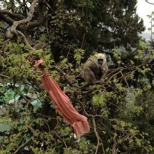 Meet your Posher, Paula